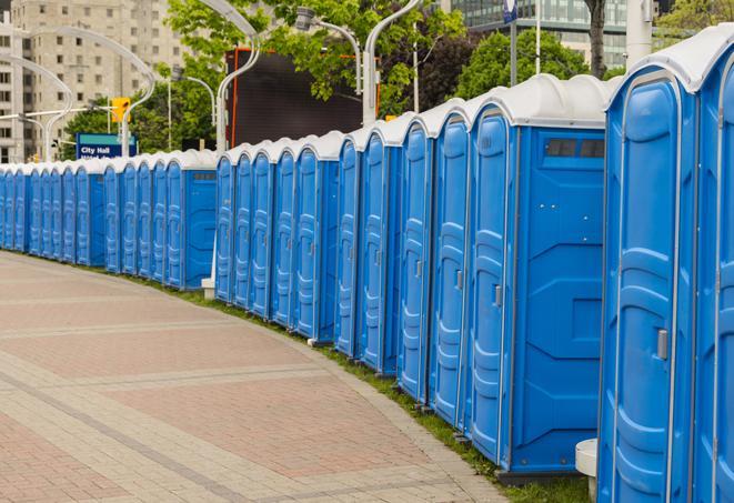 a fleet of portable restrooms ready for use at a large outdoor wedding or celebration in Carbondale